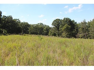 Property photo 39 - LAND AUCTION - 440+/- ACRES OFFERED IN 17 TRACTS IN OSAGE CO., OKLAHOMA